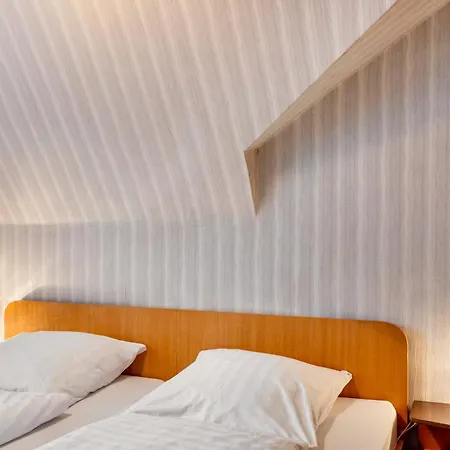 Wollmert Guest house *